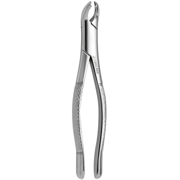 TOOTH FORCEPS AMERICAN N. 17 632720