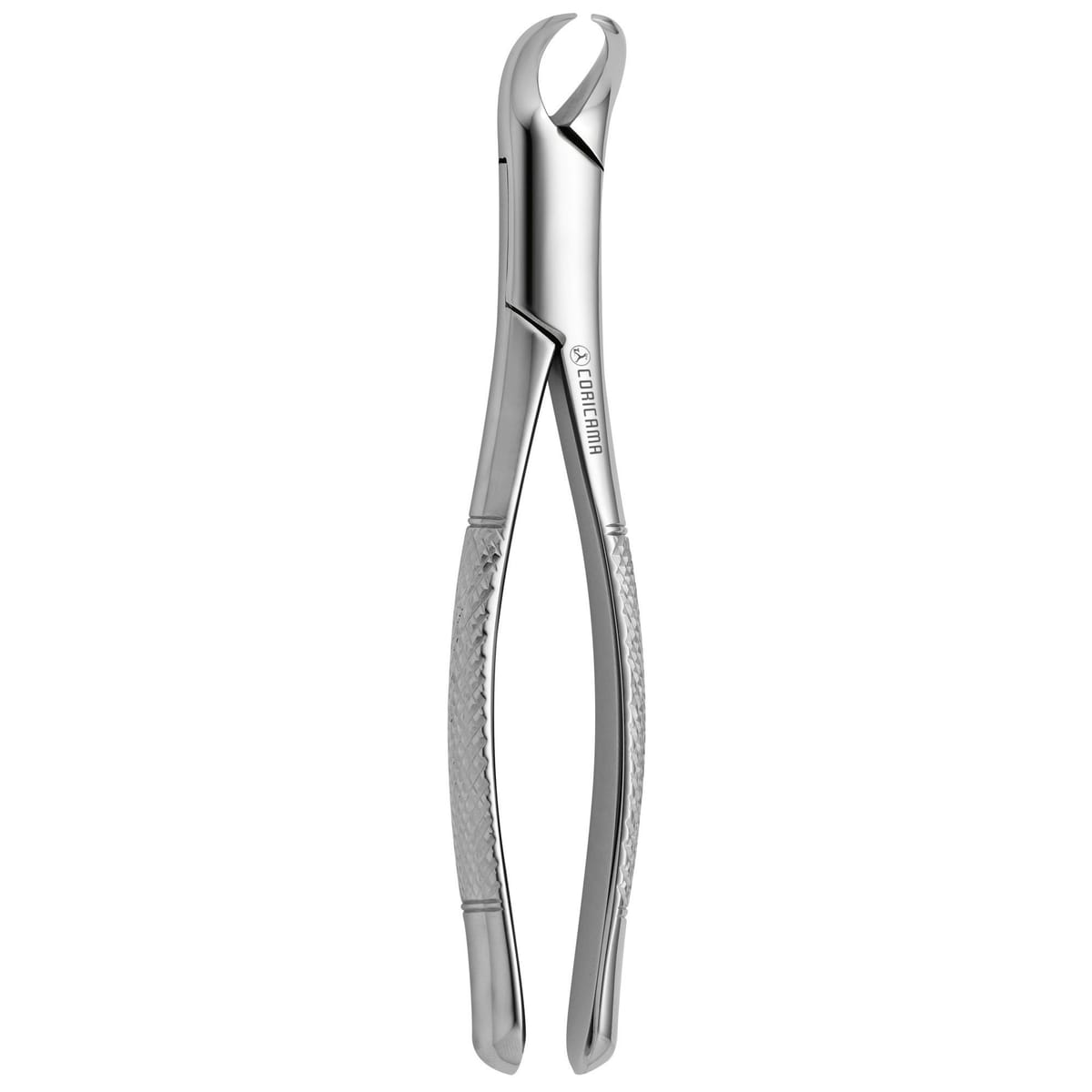 TOOTH FORCEPS AMERICAN COW HORN N. 23 632750 – Coricama srl