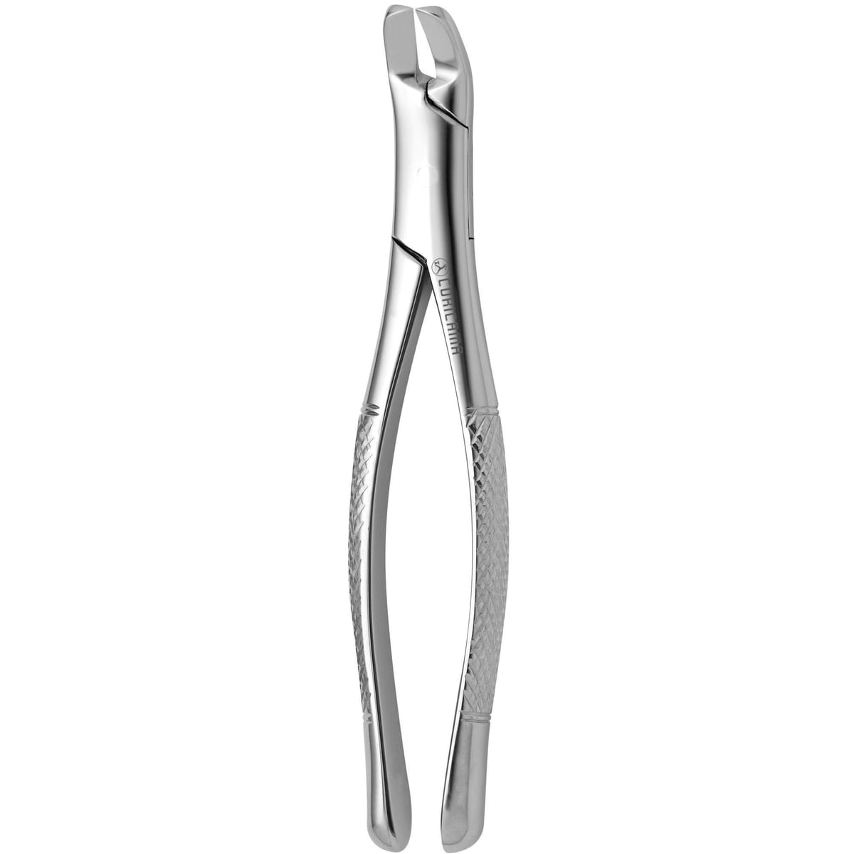 TOOTH FORCEPS AMERICAN N. 6 632760 – Coricama srl