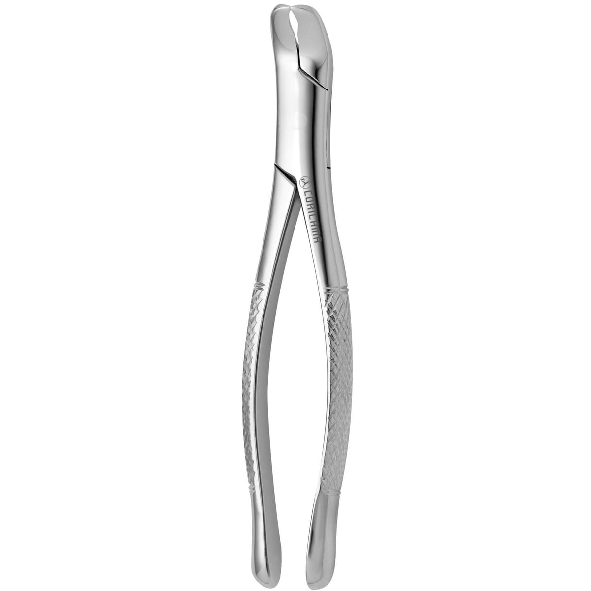 TOOTH FORCEPS AMERICAN N. 5 632780 – Coricama srl