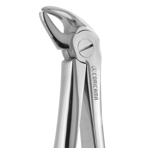 TOOTH FORCEPS PEDIATRIC N. 38