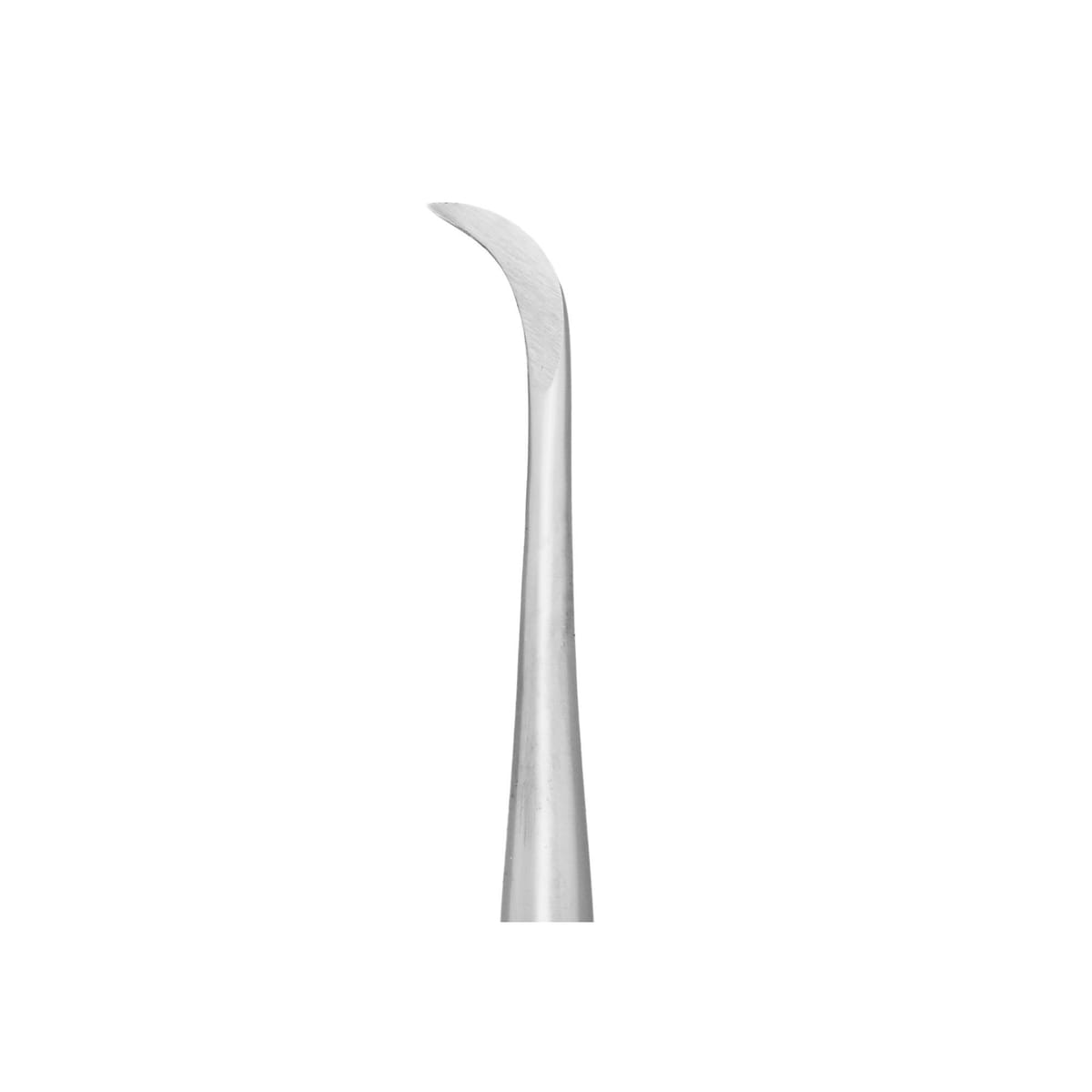 ÉLÉVATEUR DE RACINES HIVER DROITE – Coricama srl, Root Elevators