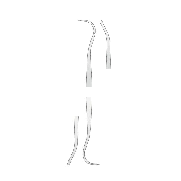 SCALER HYGIENIST H6/H7
