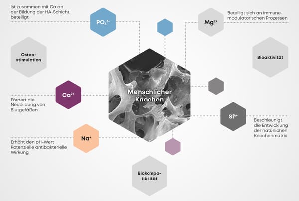 CERASORB® Bioactive