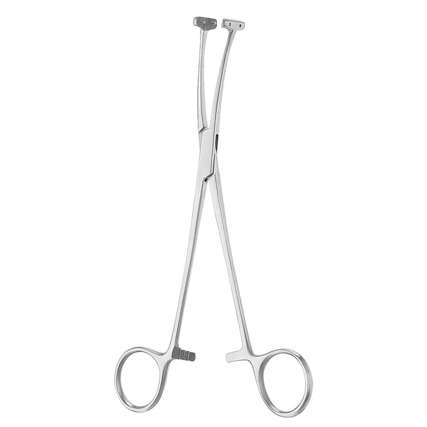 WILLET MARTEL, Kopfhautklemme, 19 cm
