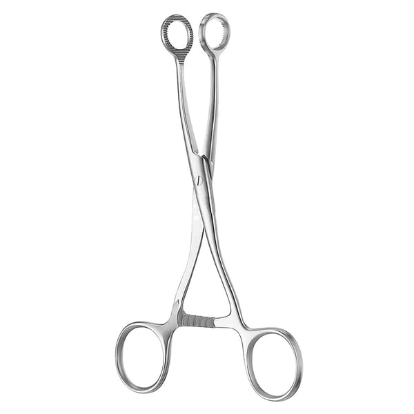 COLLIN, Zungen Zange, 16 cm 1 x 2 Zähne 48.250.16