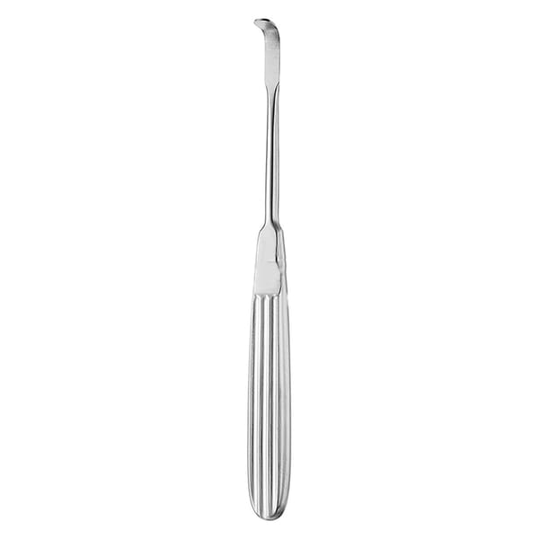 TESSIER, Raspatorium, 18 cm 30* 48.775.30