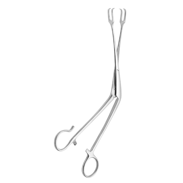TYDING, Tonsillen Fass Zange, 21 cm 1 offener Ring 50.211.21