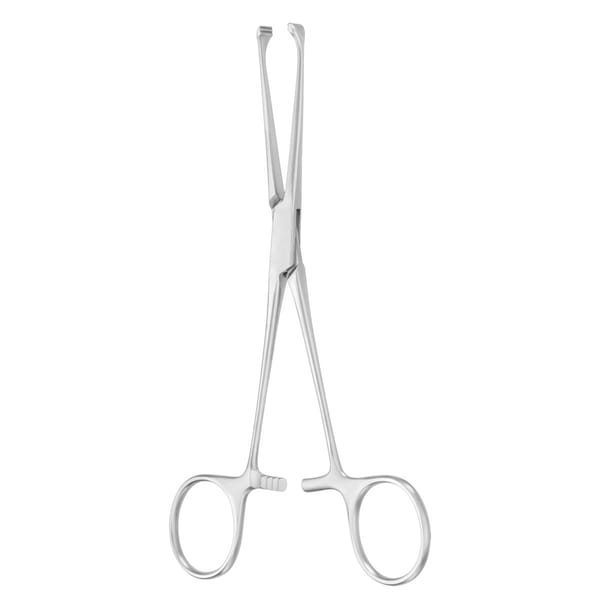 ALLIS, Darm Fass Zange, 20 cm atr 1 x 2 Zähne 64.124.20