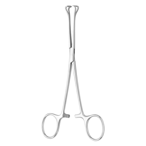 BABCOCK, Darm für Zaengchen, 20 cm 2 x 2 Zähne 64.160.20