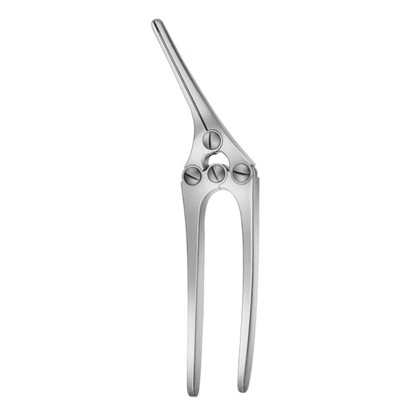 PAYR, Quetsch Klemme, 21 cm mit Stift 2 x 2 Zähne 64.310.21