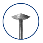 316 – Lentille