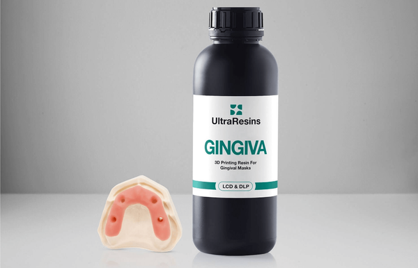 Gingiva