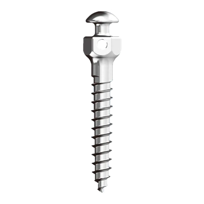 Orthodontic Mini Screws