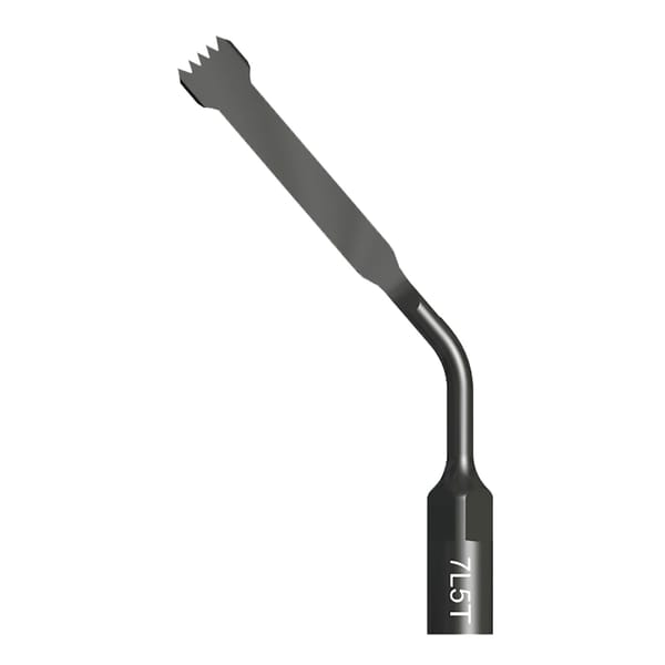 Sega a 5 denti lunga