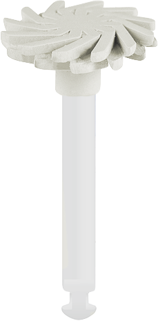 PROPHY RA PRT-W10