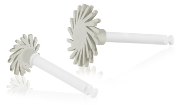 PROPHY RA