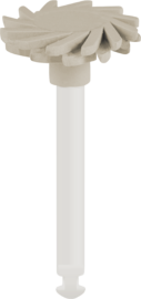 EY-11f
