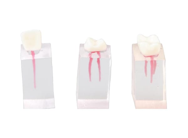 E08/C – Set mit 3 Quadern für einfache endodontische Übungen