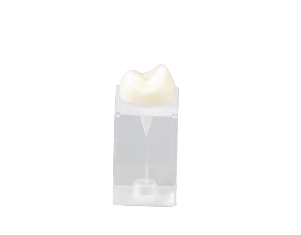 E09/C - Parallelepiped Block for Endodontic Practice – GF Dental di Ficuciello Antonino, Demonstration Models