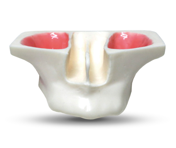 E20 - Modèle d'exercice pour sinus lift