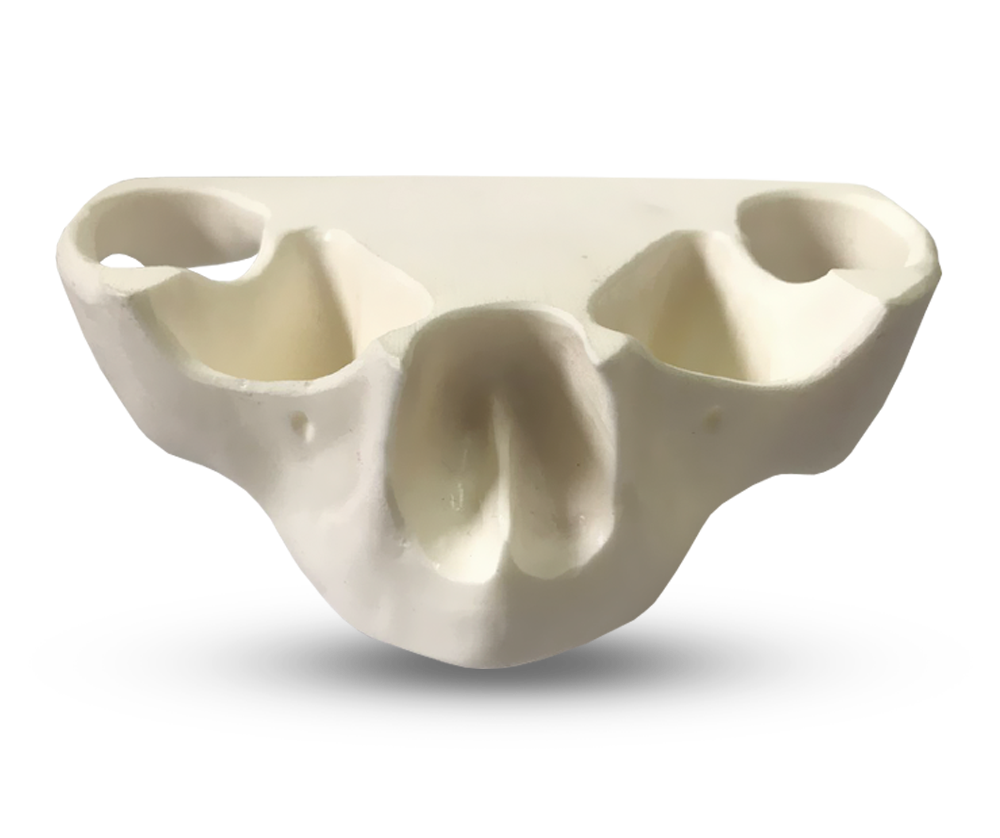 E36/N - Modèle de mâchoire en matériau synthétique – GF Dental di Ficuciello Antonino, Oral Surgery Equipment