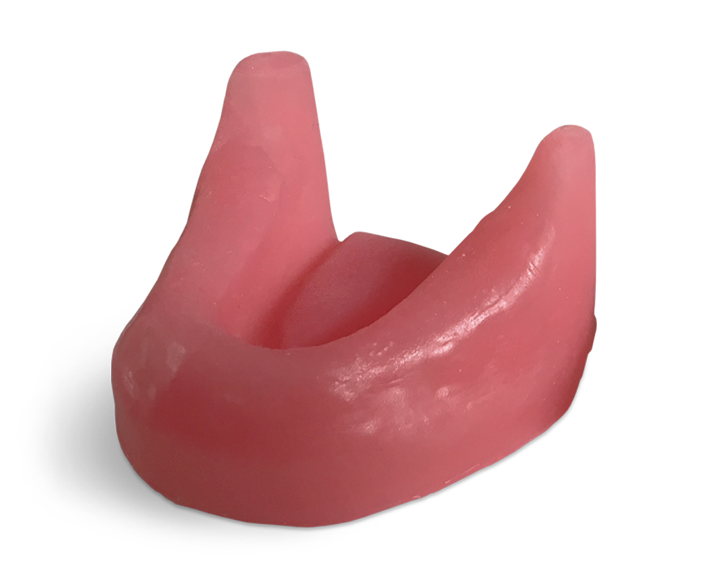 E81/G – Kiefermodell aus synthetischem Knochenmaterial – GF Dental di Ficuciello Antonino, Sonstige Laborgeräte