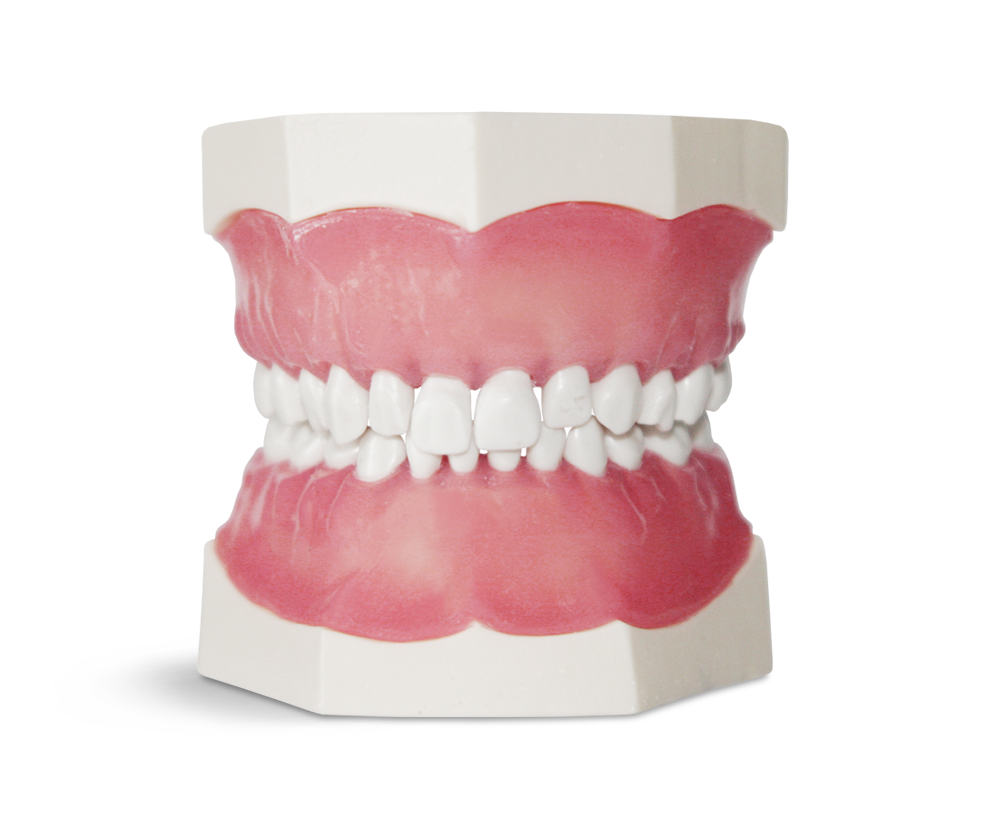 Child Dental Practice Templates – GF Dental di Ficuciello Antonino, Other Equipment