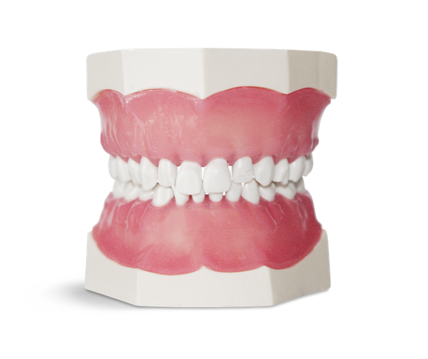 Child Dental Practice Templates