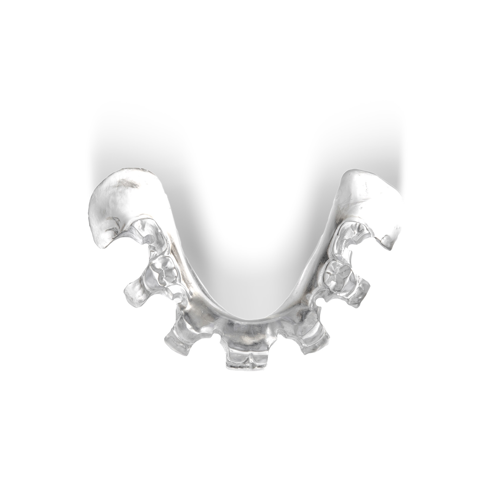 OP SCHABLONE MANDIBULA B1 ANATOMY