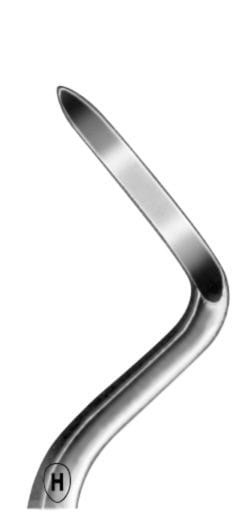 HSA 625-05, Wurzelheber – Karl Hammacher, Root Elevators