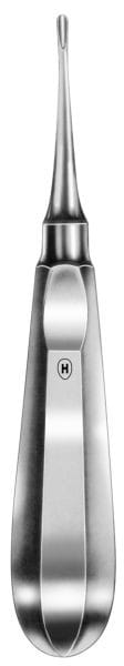 HSA 650-01, Wurzelheber