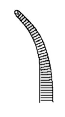 HSE 019-12, Arterienklemme