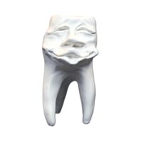 Zahnfigur Mick in Geschenkbox – ERNST HINRICHS Dental, Demonstration Models