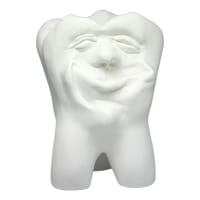 Zahnfigur Dickie – ERNST HINRICHS Dental, Demomodelle