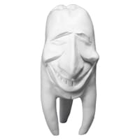 Zahnfigur Tommy – ERNST HINRICHS Dental, Demomodelle