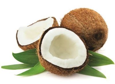 Regular Wax In Scented Cases Coconut - PK/50 – IOS International Orthodontic Services
