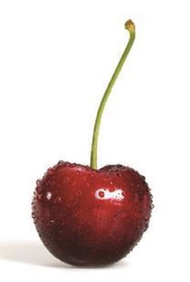 Regular Wax In Scented Cases Cherry - PK/50 – IOS International Orthodontic Services