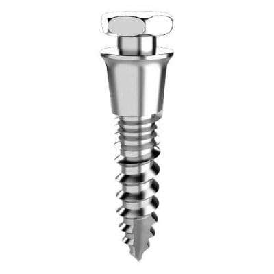 Infinity Maxillary Implant L 8.6 mm - Piece – IOS International Orthodontic Services, Anchorage Systems