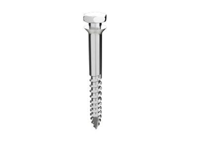 Infinity L L 11 mm 1.45 Ø - Piece – IOS International Orthodontic Services, Anchorage Systems