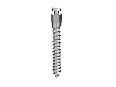 Templant Implant L 13 mm - Pièce – IOS International Orthodontic Services, Anchorage Systems