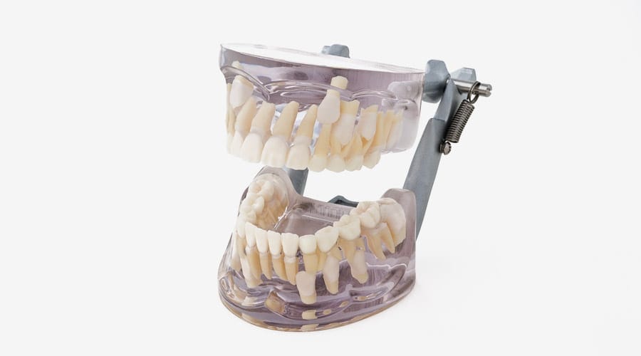 Modelli didattici di denti decidui – MORITA EUROPE, Geräte