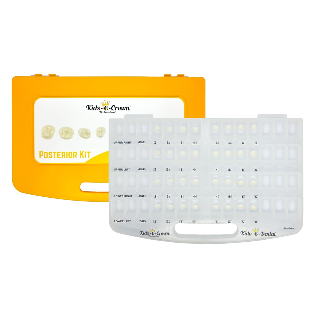 Erstem Molaren Master-Kit – Kids-e-Dental LLP, Provisorische Kronen