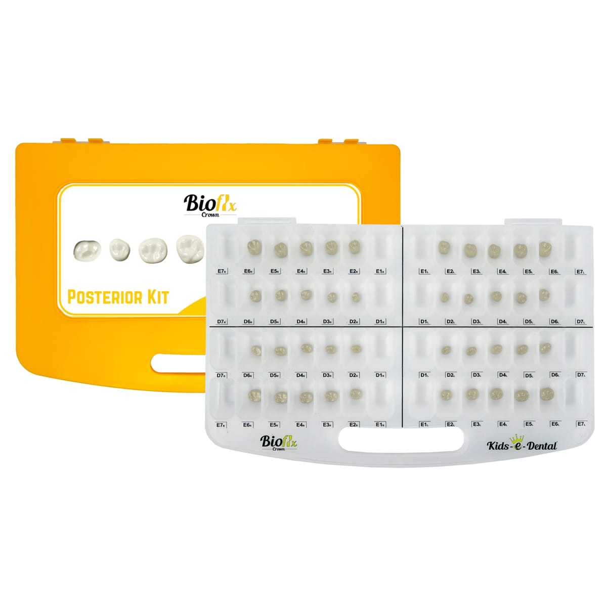Bioflx Posterior Starter Kit – Kids-e-Dental LLP, Temporary Crowns