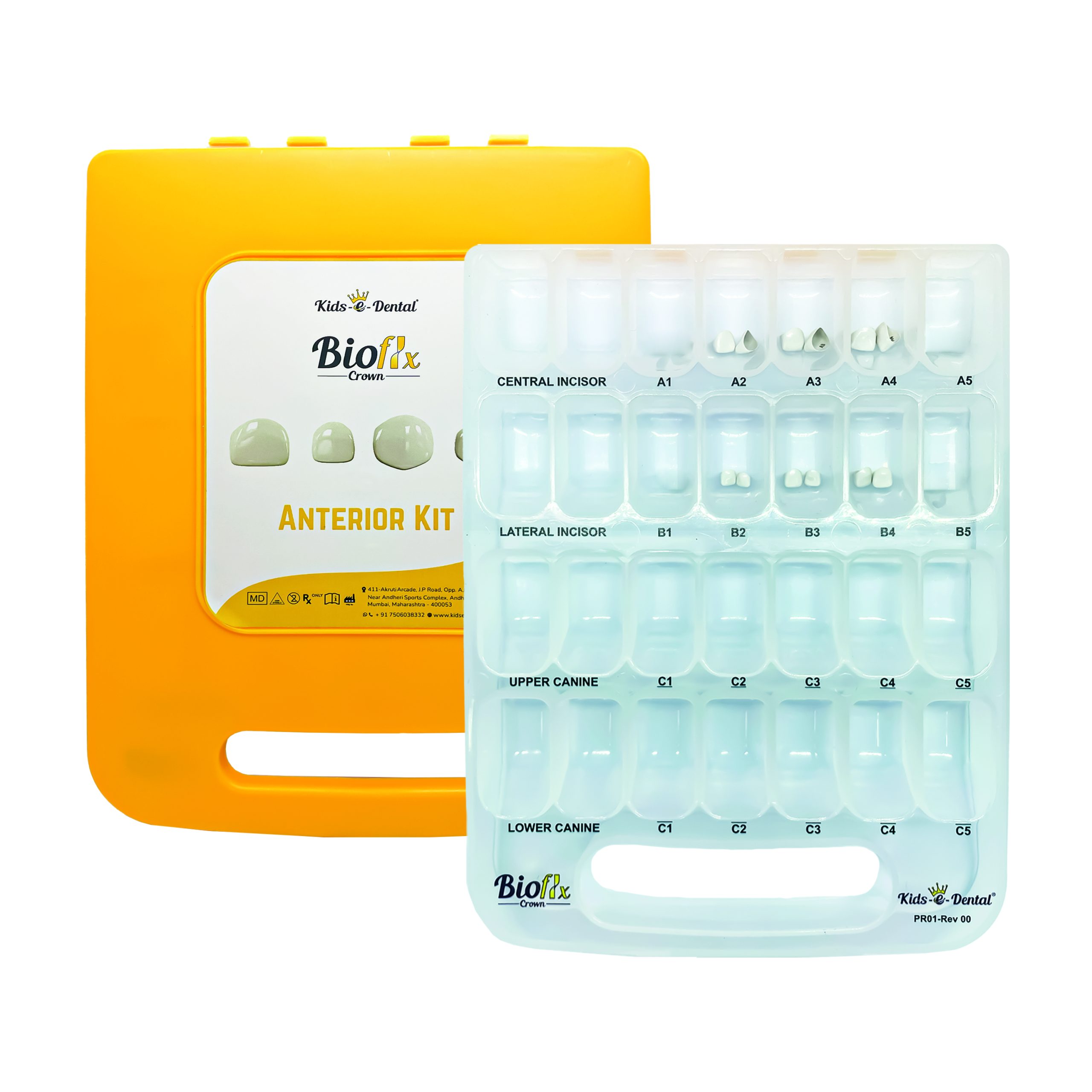 Bioflx Anteriore Schneidezähne (zentral & lateral) Starter-Kit