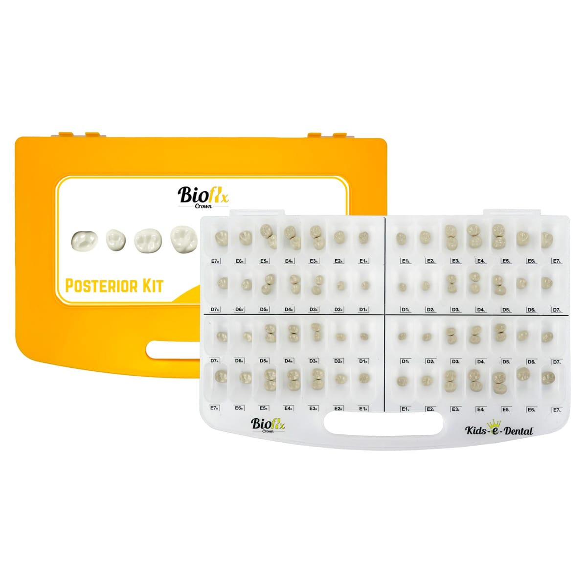 Bioflx Posterior Professional Kit – Kids-e-Dental LLP, Temporary Crowns