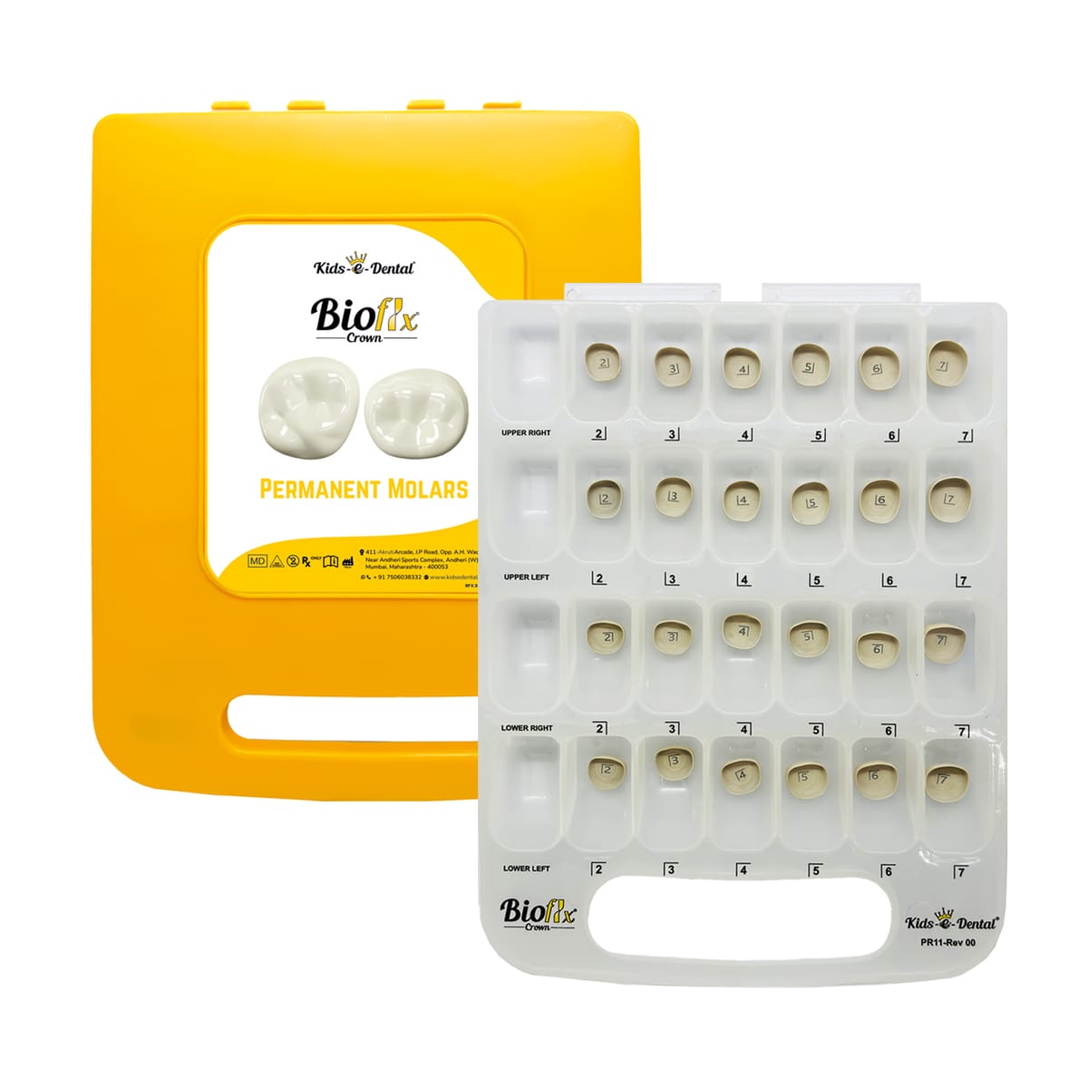 Bioflx Permanent Molar Crowns Master Kit – Kids-e-Dental LLP, Temporary Crowns