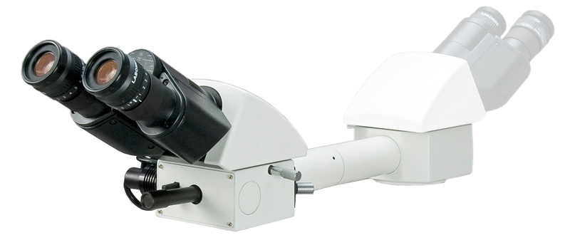 Dual view bridge with Binocular Head
