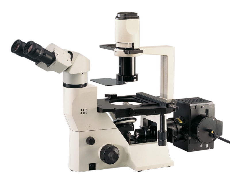 TCM400 trinocular microscope with LED Fluorescence Kit – Labomed Europe b.v., Loupes & Headlamps