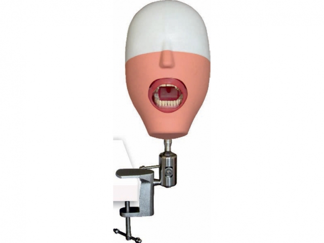 Phantom head, tafel model – Labomed Europe b.v., Laboratory Equipment